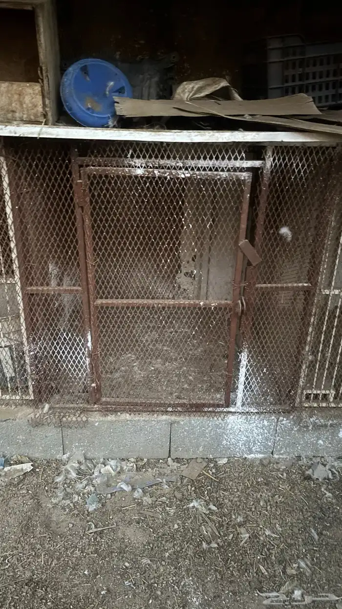 محاكر حديد 2