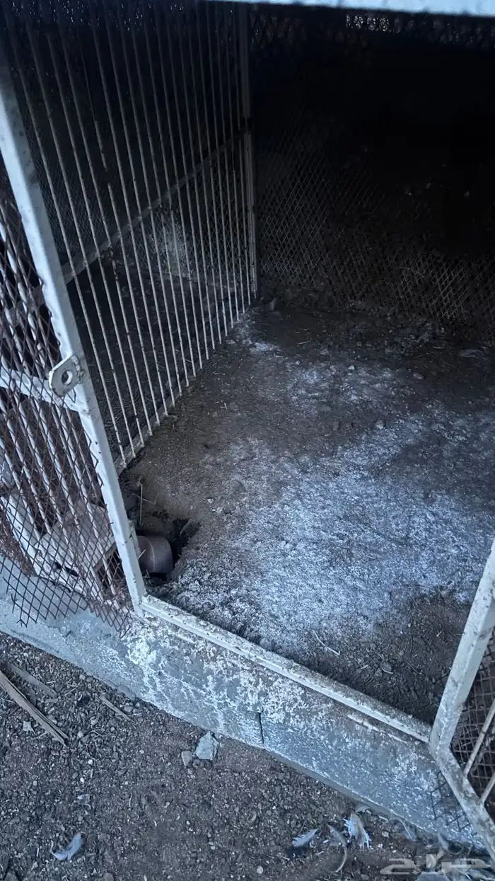 محاكر حديد 0