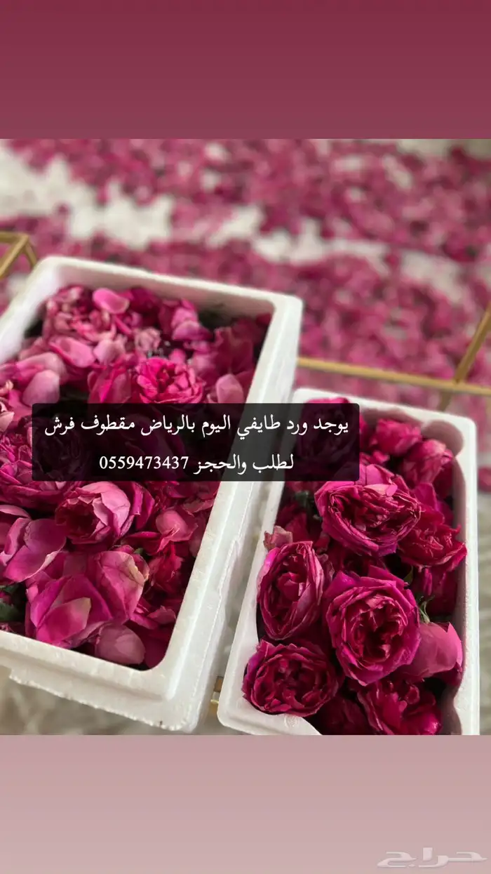 ورد_طايفي 9