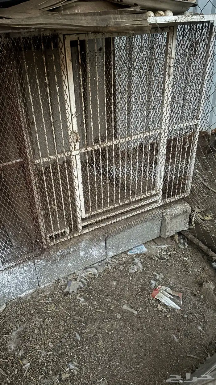 محاكر حديد 3