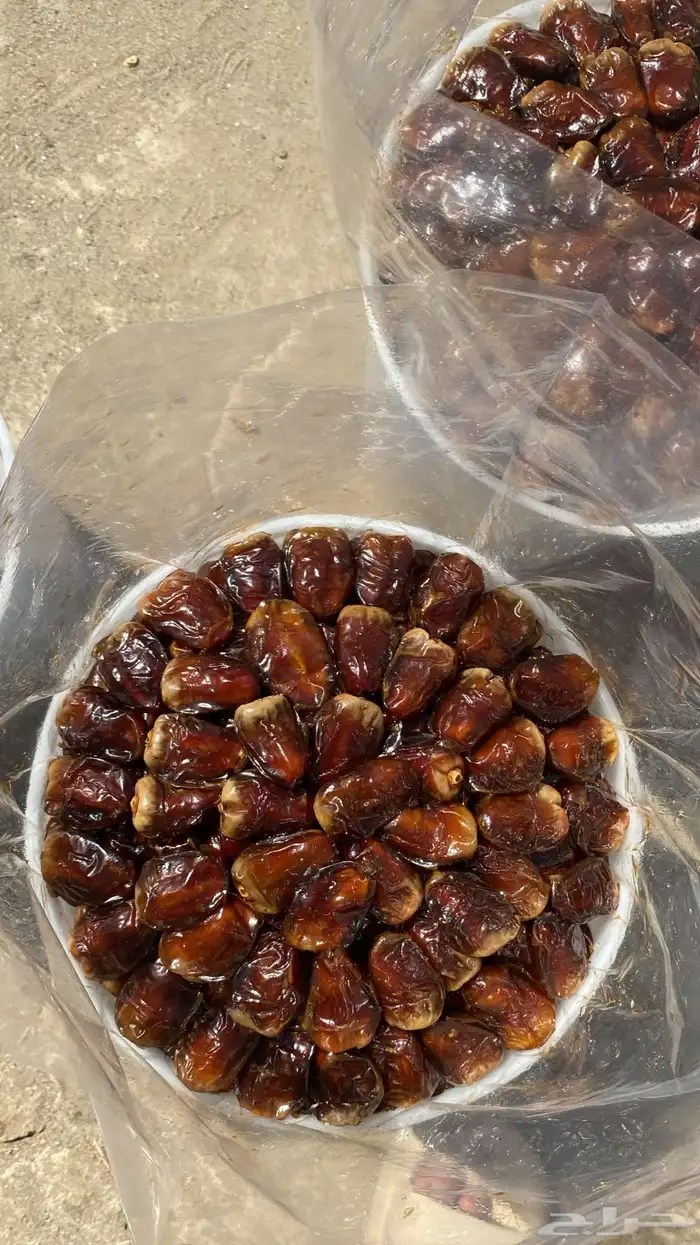 برني وكعيمر ملكي 1