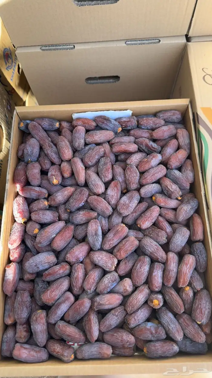 تمر مجدول فاخر 1