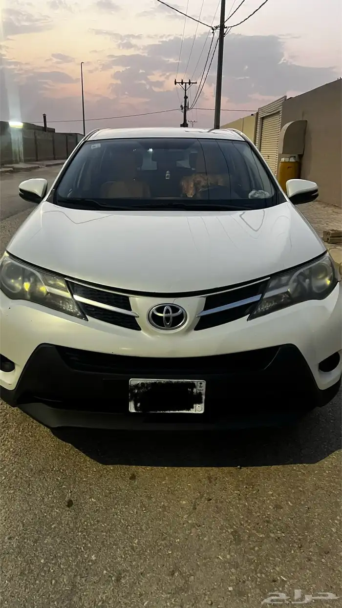 راف فور 2015 1
