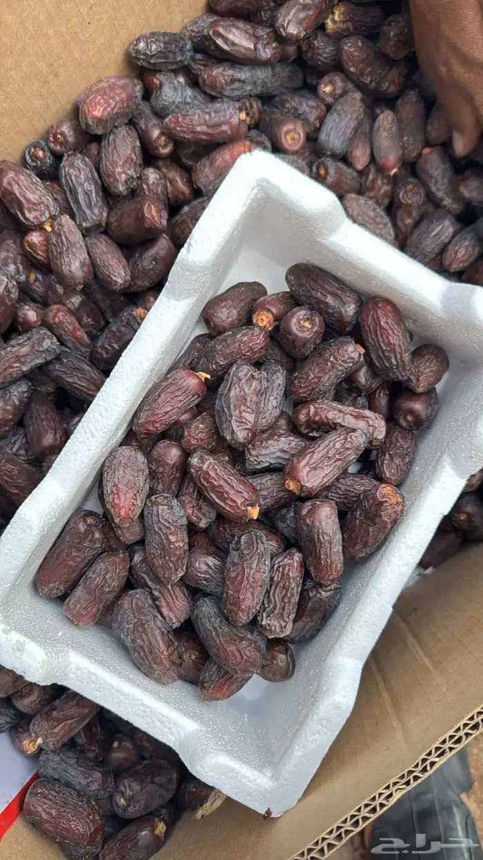 تمور المدينة ( عجوة - صفاوي- عنبره - صقعي ) 8