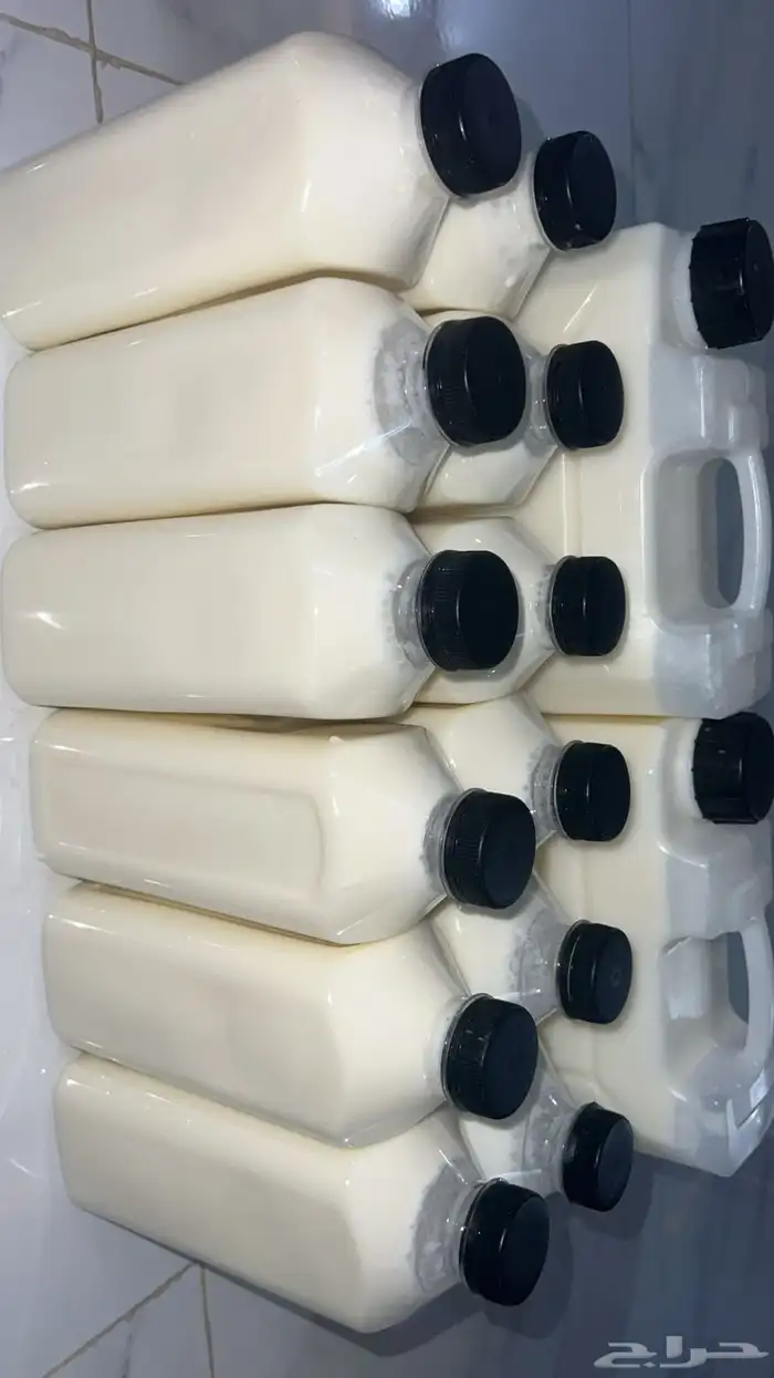 زبده غنم سمن غنم جبنه غنم خاثر غنم لبت لبنه مقدوس نوعين 56