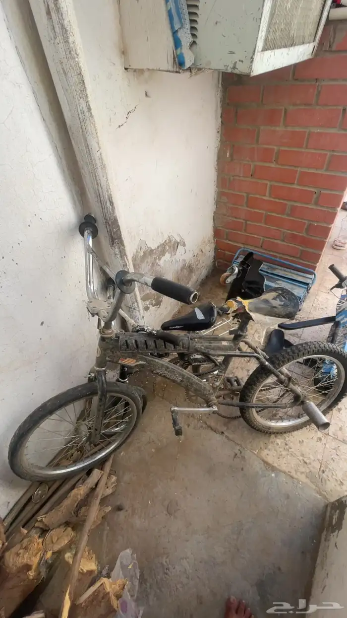 سيكلات مقاس20.12.12 جديده لا يوجد فيها الى مراتب فقط 1