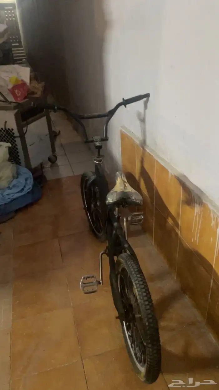 سيكل كوبرا 1