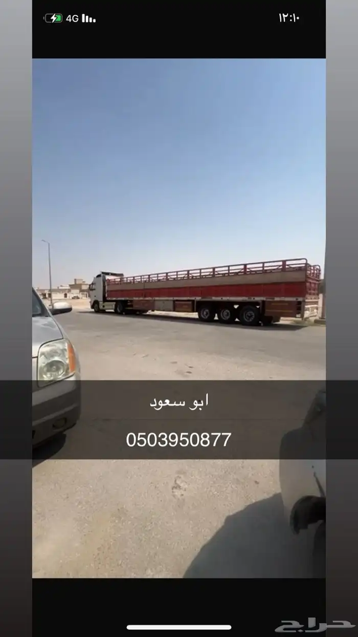 تريله تحميل البل لجميع انحاء المملكة 0
