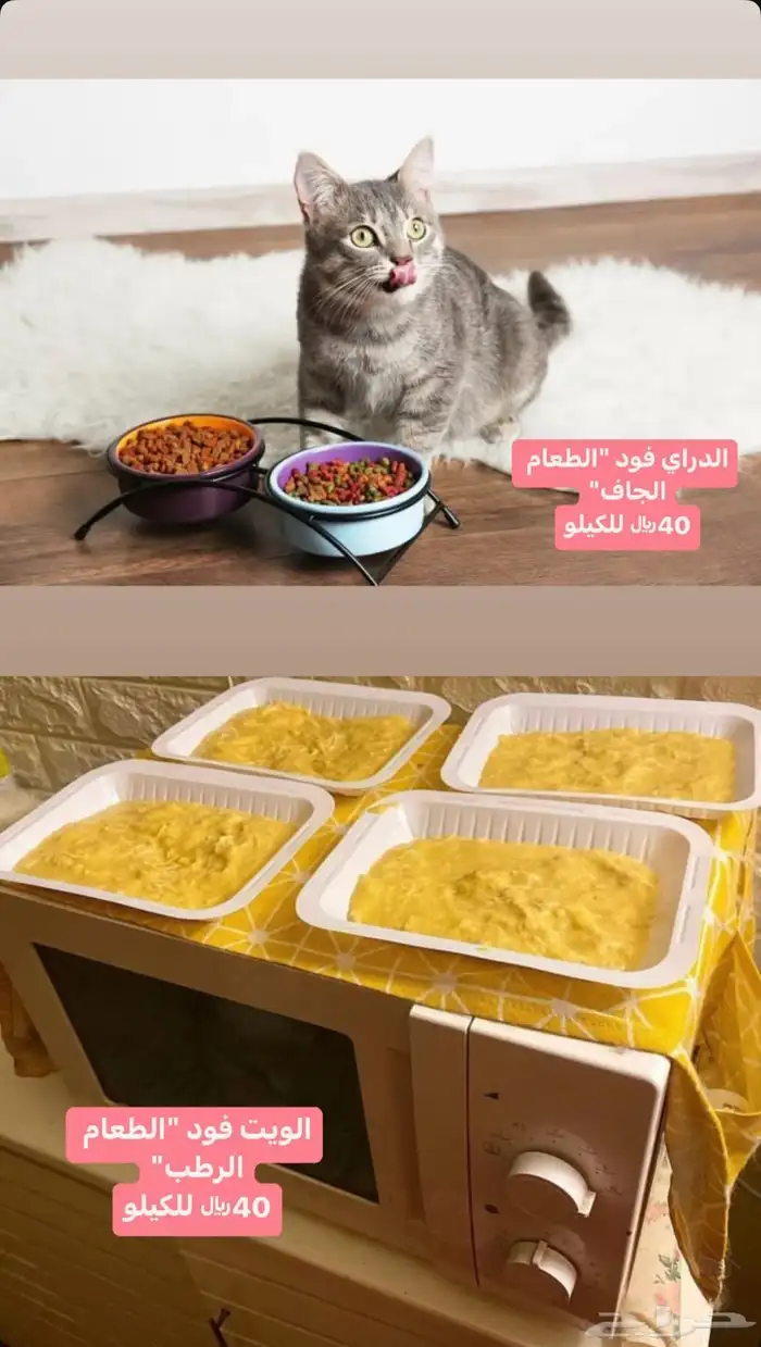 مستلزمات قطط 1