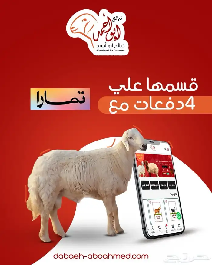 ذبائح بريه طيبه 8