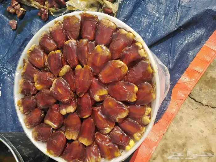 برني وكعيمر ملكي 2