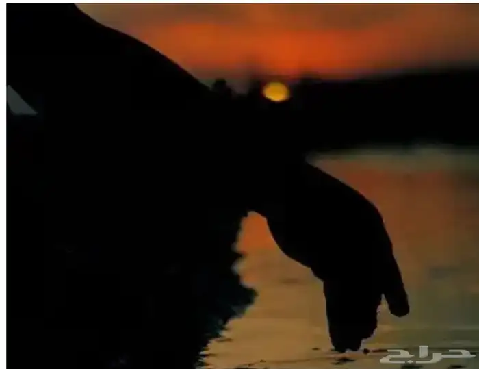 مشوار من الدوادمي لدخنه 0