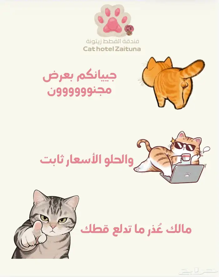 ترويش قطط 0