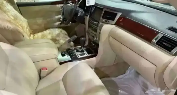 لكزس جيب LX 570 موديل 2014 شبه مخزن مشروط 9