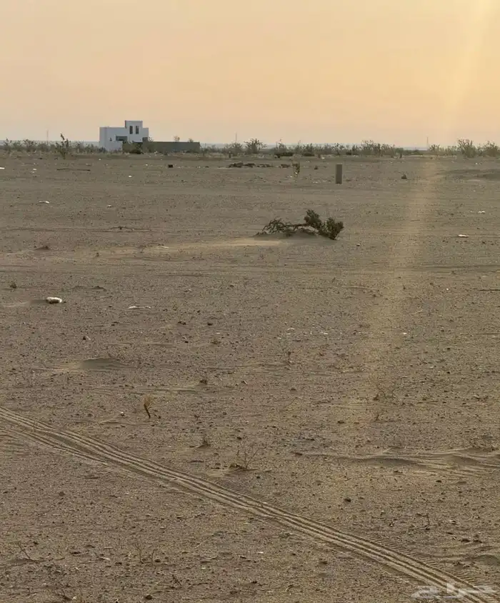 ارض للبيع مخطط الندى 599 قريبة من طريق الإصلاحية 1