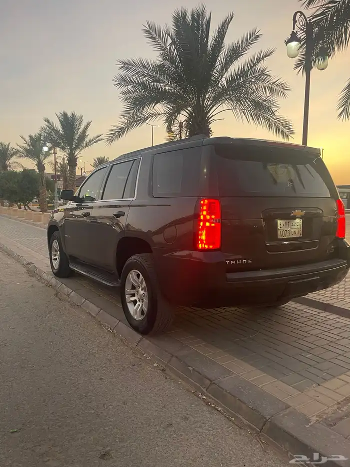 تاهو قصير بدون دبل 8