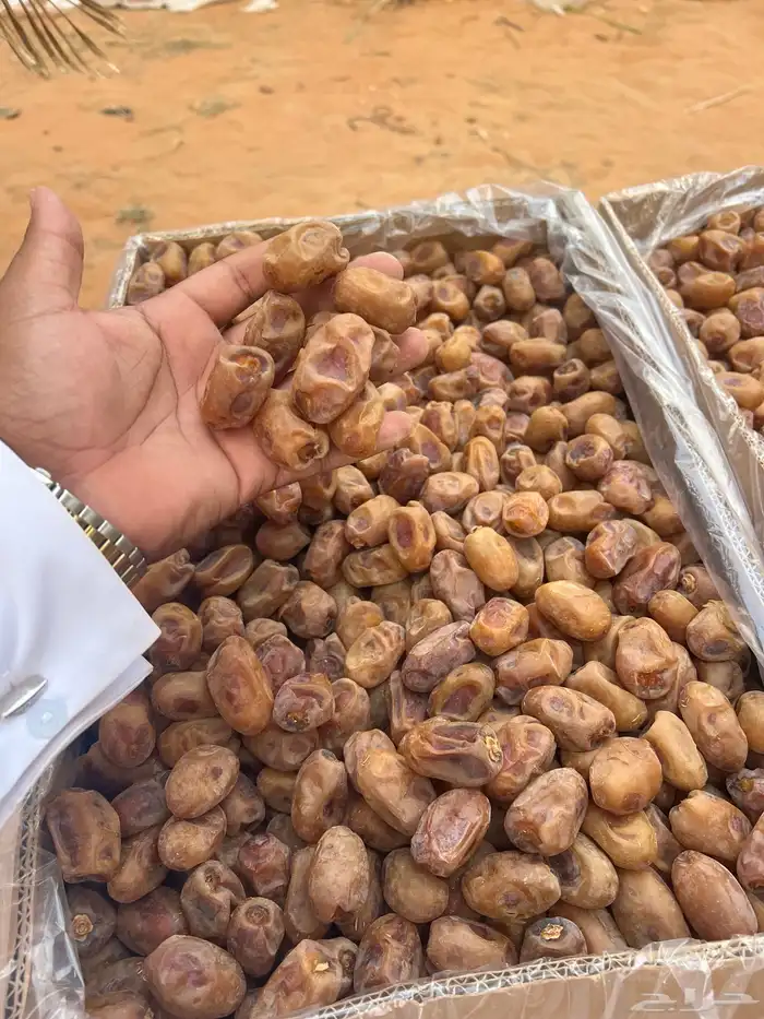 تمر اخلاص 80 طن 4000 كرتون 9