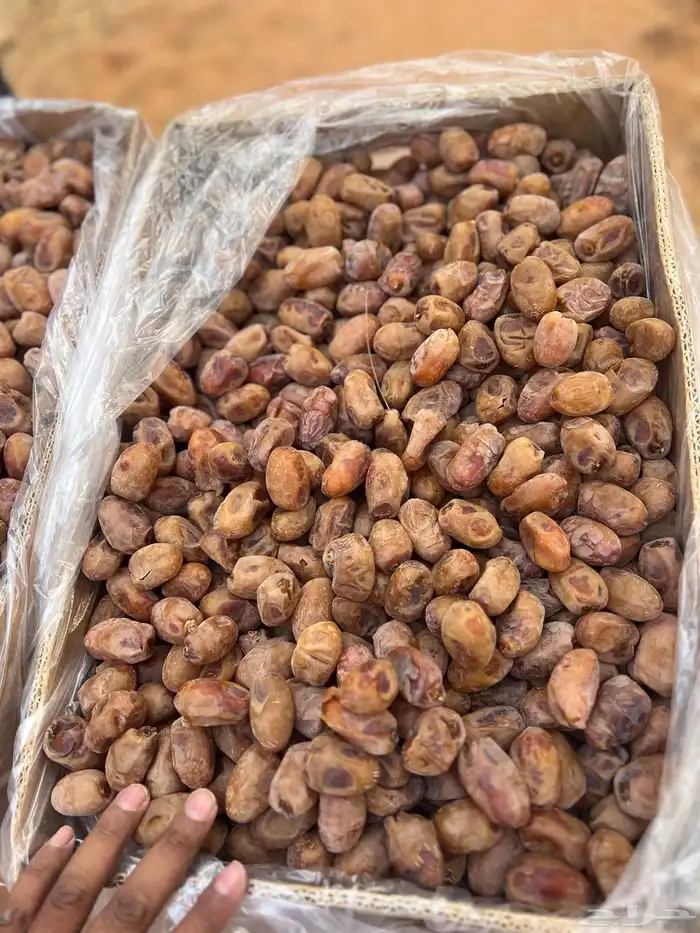 تمر اخلاص 80 طن 4000 كرتون 6