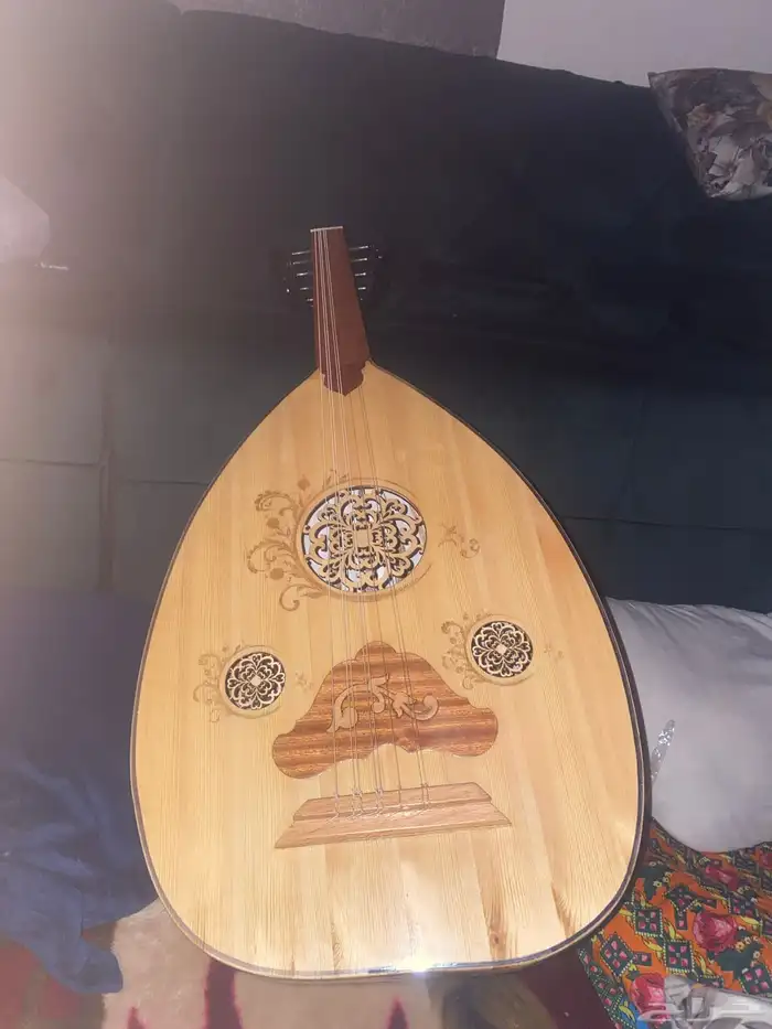 عود للبيع 0
