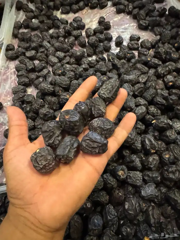 تمور المدينة ( عجوة - صفاوي- عنبره - صقعي ) 5