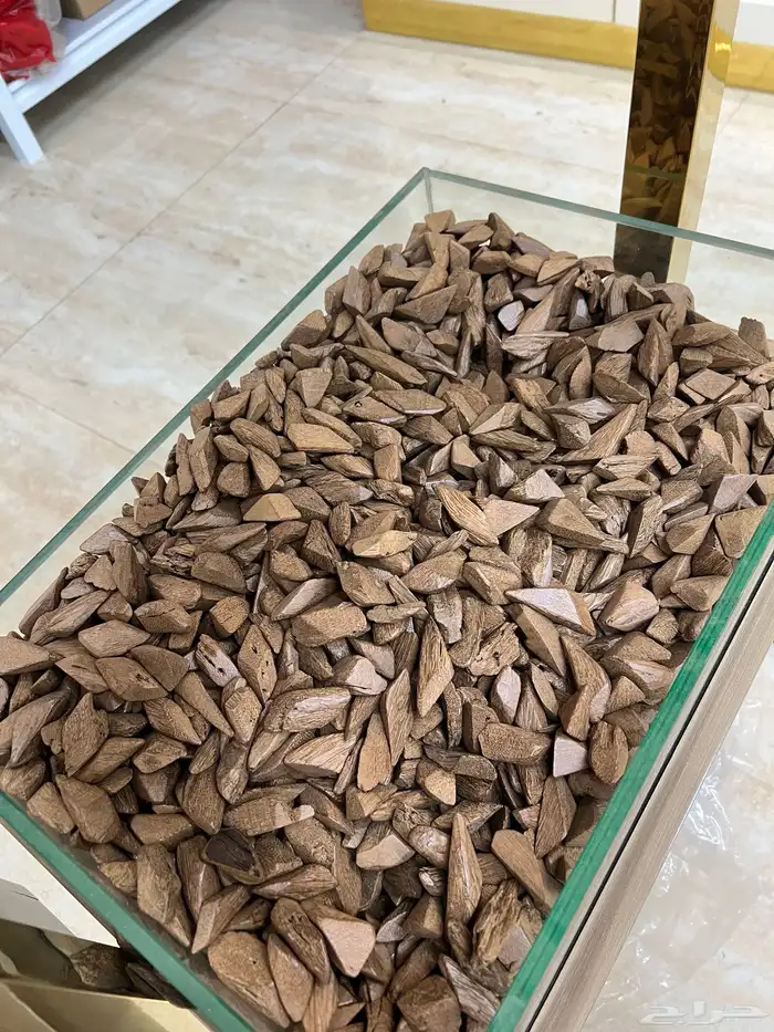 عود مروكي 178 S سعر الكيلو 900 ريال 0