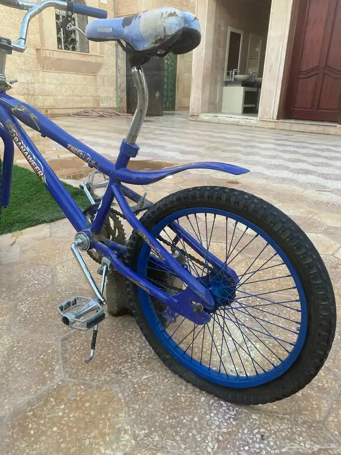 سيكل كوبرا ب القريات 5