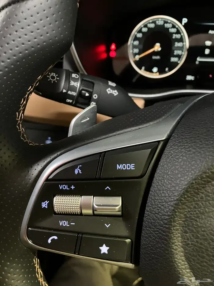 جنسس جنيسيس 2023 24