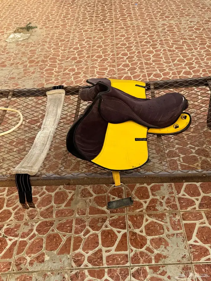 للبيع سرج استيتوس نظيف 1