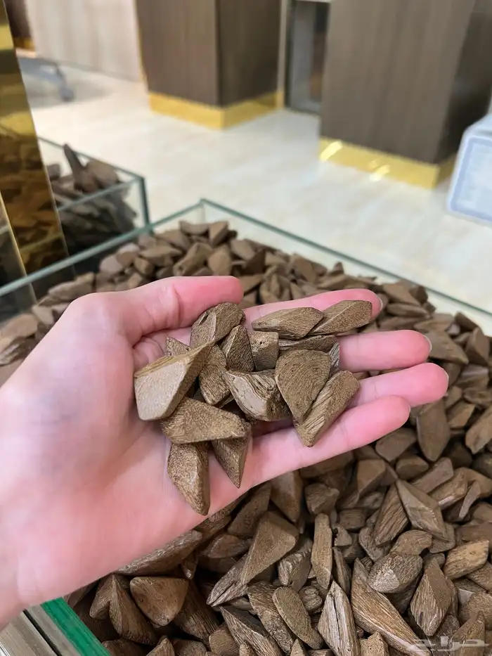 عود مروكي 178 S سعر الكيلو 900 ريال 2