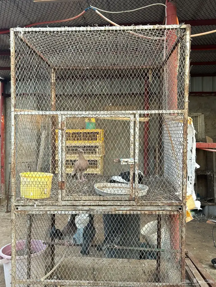 محكر حديد دورين حديد 1