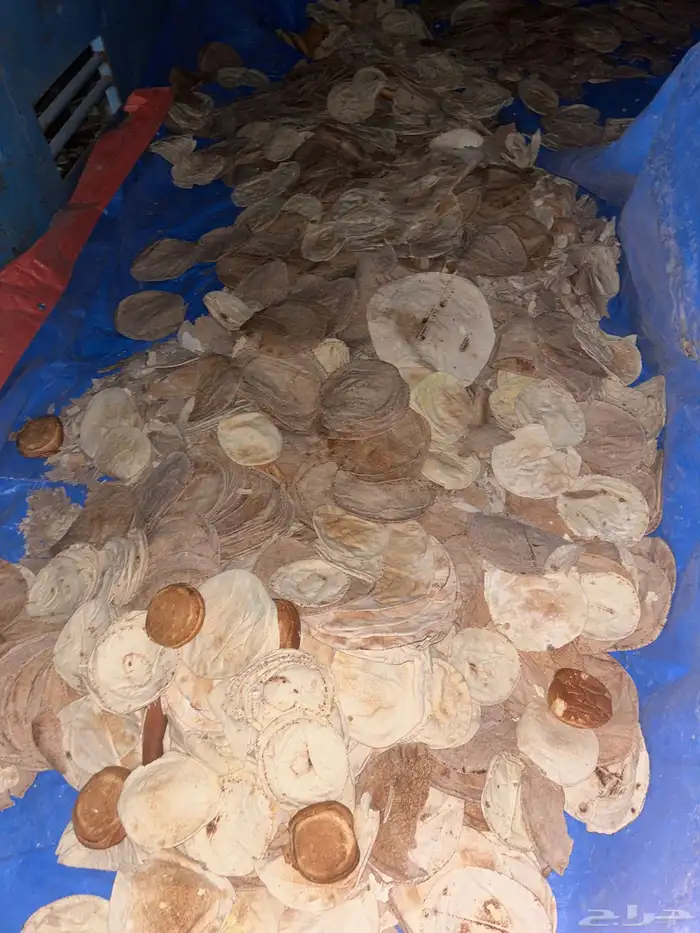 خبز ناشف ونظيف 1