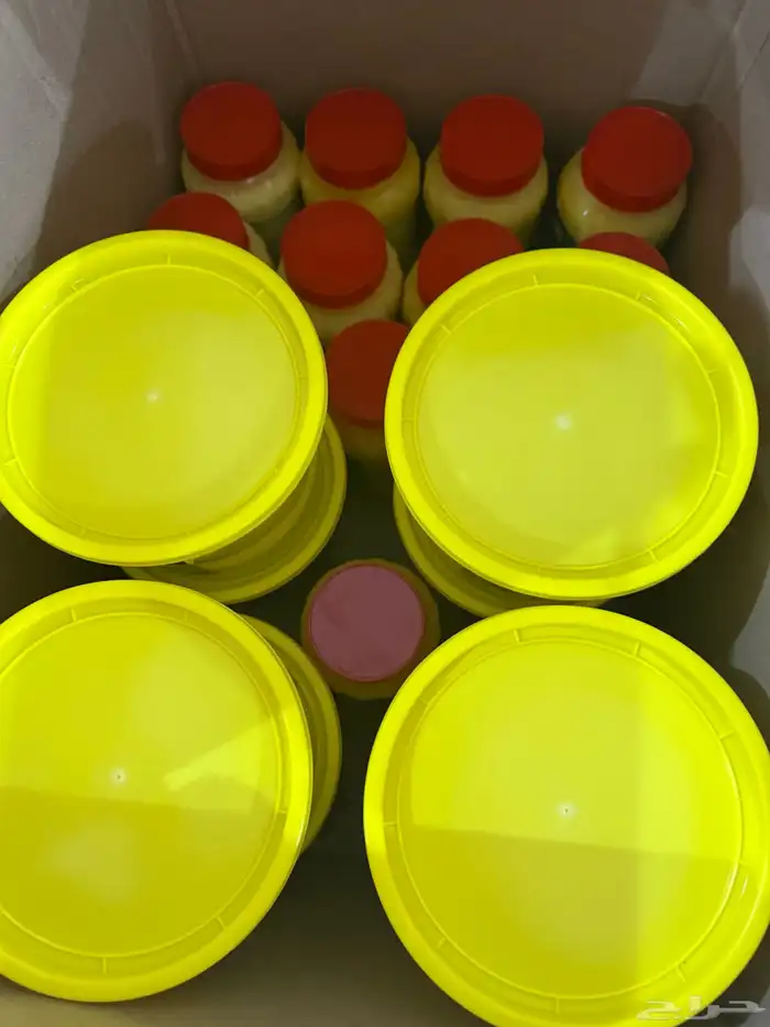 سمن بقر طبيعي الكيلوا ب50 1