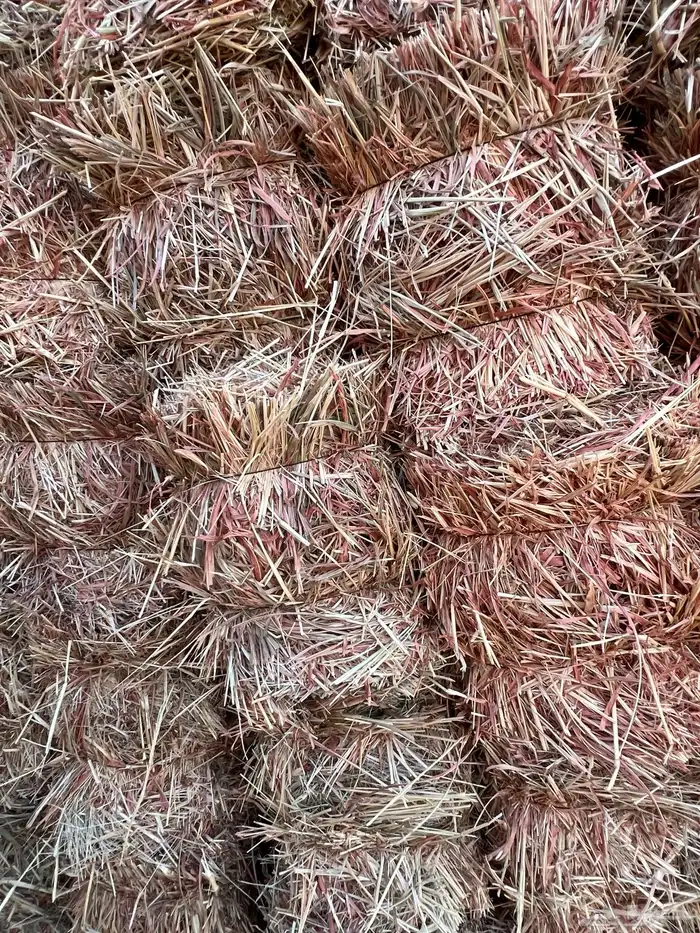 ذره جيزانيه للبيع 2