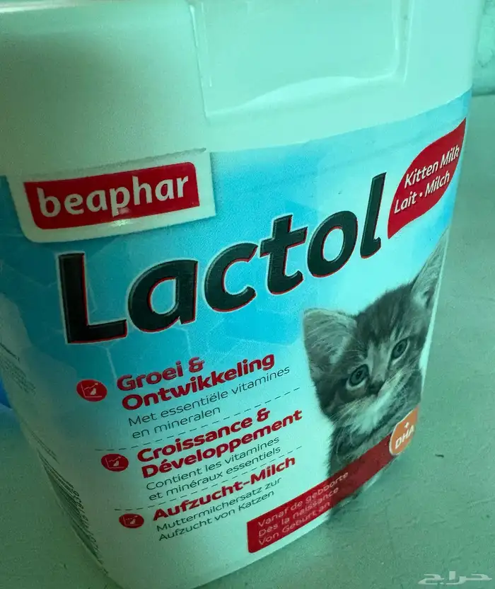 حليب قطط صغيرة 0