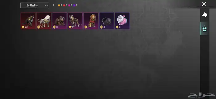 rare pubg account 30