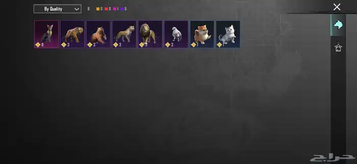 rare pubg account 29