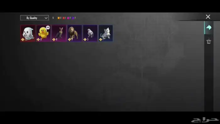 حساب ببجي فخم جميع المميزات موجوده 45