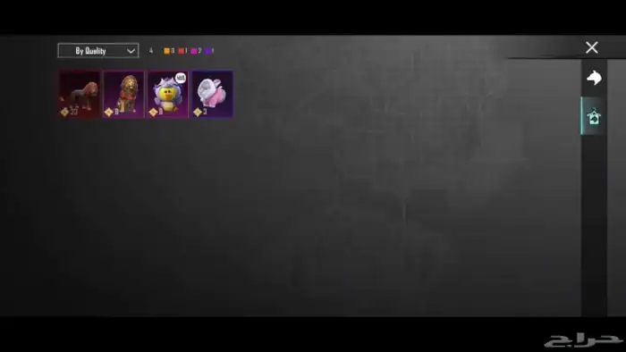 حساب ببجي فخم جميع المميزات موجوده 46