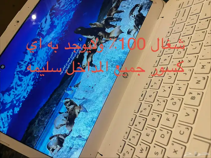 لابتوب hp انتل سليرون نظيف 0