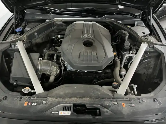 جنسس جنيسيس 2023 17