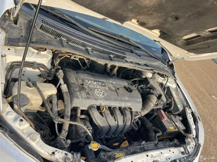 كورلا 2008 قير عادي 20