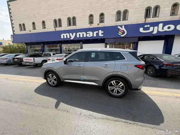 فورد تير توري 2024 0