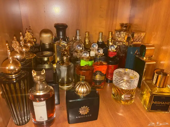 عطور عالمية اي شي تبغاه موجود ومتوفر وبسعر مغري 1