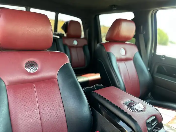 فورد F-150 اصدار هارلي ديفيدسون موديل 2010 9