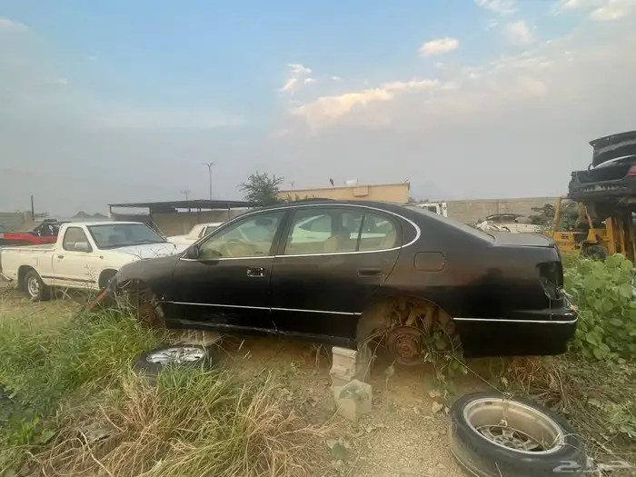 المجاردة تشليح العمري 18