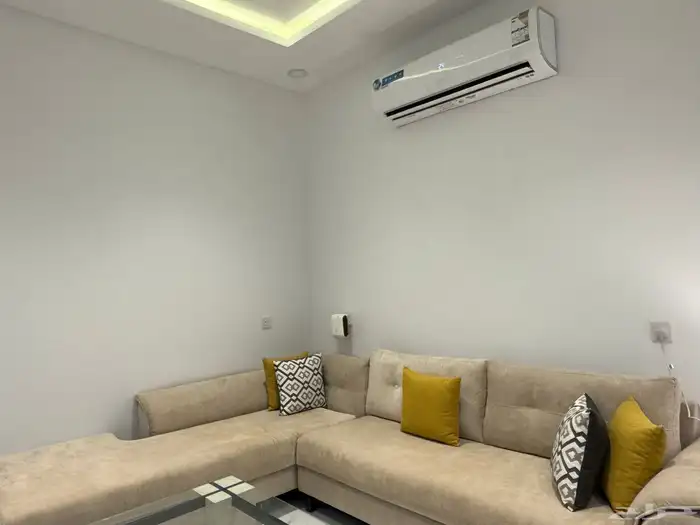 كنب أمريكي 3