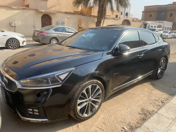 كادينزا 2017 4
