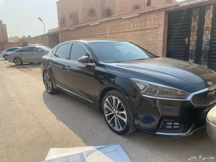كادينزا 2017 1