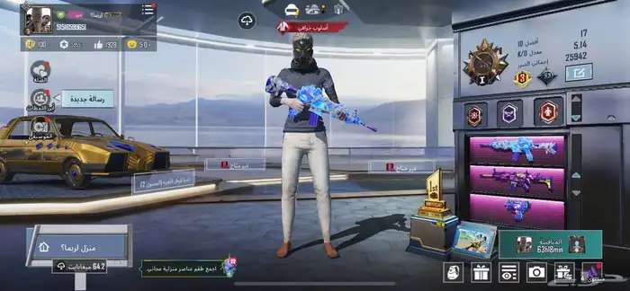 حساب ببجي 16