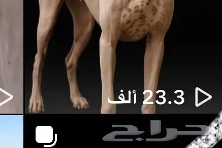 رفع متابعى واعضاء تيك وتلي وجميع البرنامج 3